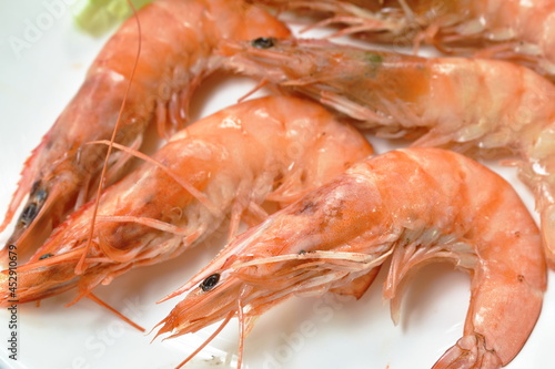 steamed river shrimp arranging with fresh lettuce on plate 