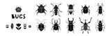 Black and white collection of retro bugs and florals. Vector illustration set of beetles in vintage style 1960s.