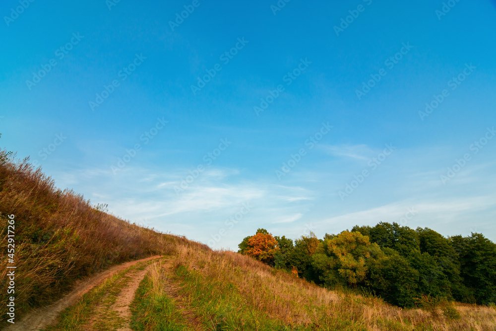 country road in the autumn evening