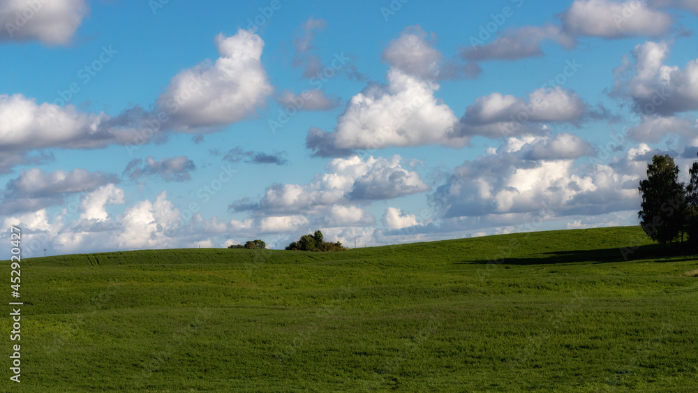 soft clouds, blue sky, glowy meadow, long shadows, Latvia landscape