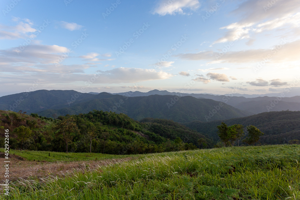 Fototapeta premium agricultural landscape of hill tribes green grass evening sky On top of a hill in Chiang Mai, Thailand. Background image. There is space for the text above.
