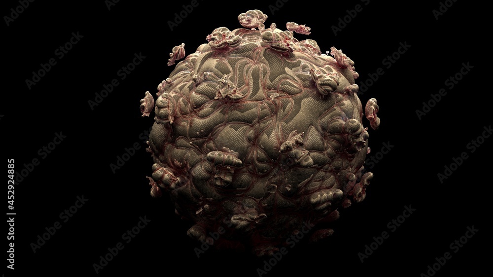 Obraz premium Natural killer body cell immune respone corona virus cell .concept covid-19 antibogy cytotoxic adaptive immune response.
