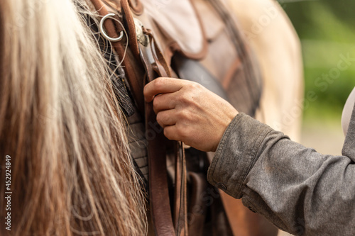 Saddle up a horse: A person saddles a horse