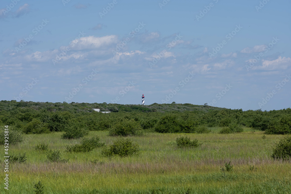 Lighthouse in the background of a marsh and field
