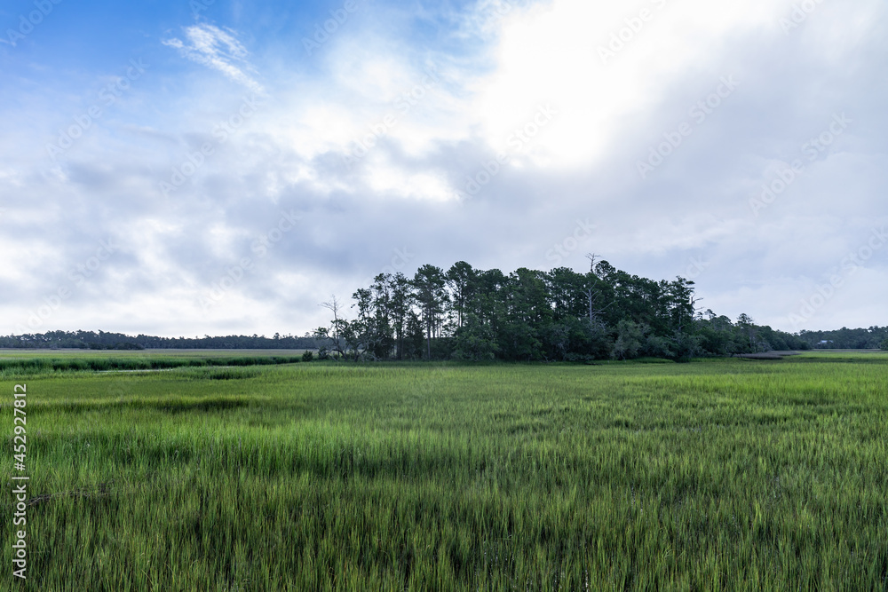 View of an island of trees in a grassy salt marsh, Mount Pleasant South Carolina, horizontal aspect