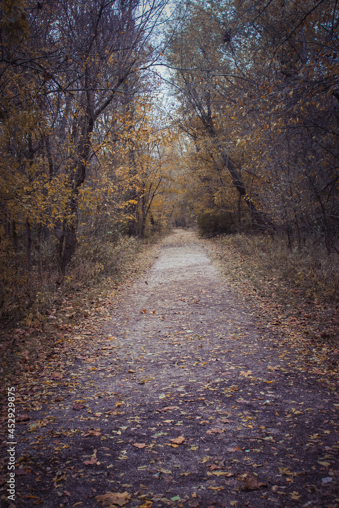 Fall nature trail