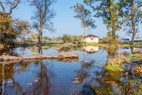 Karacabey Longozu in Bursa, Turkey photo