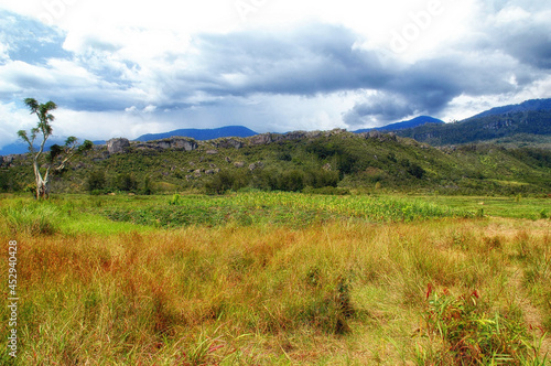 Wamena Landscape view, Papua Indonesia © atosan