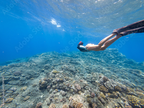 Woman snorkeling underwater above Réunion island coral reef