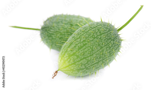 Ecballium isolated on white background. Ecballium elaterium or wild cucumber pods. photo