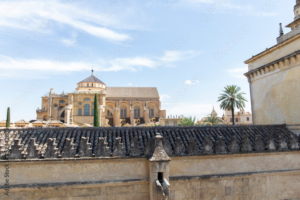 Obraz premium mezquita de córdoba
