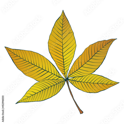 Chestnut striped autumn gold leaves silhouette isolated on white background. Simple hand-drawn sketch-style vector illustration.