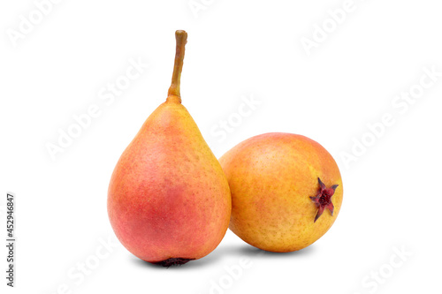 Two ripe yellow pears isolated on white background.