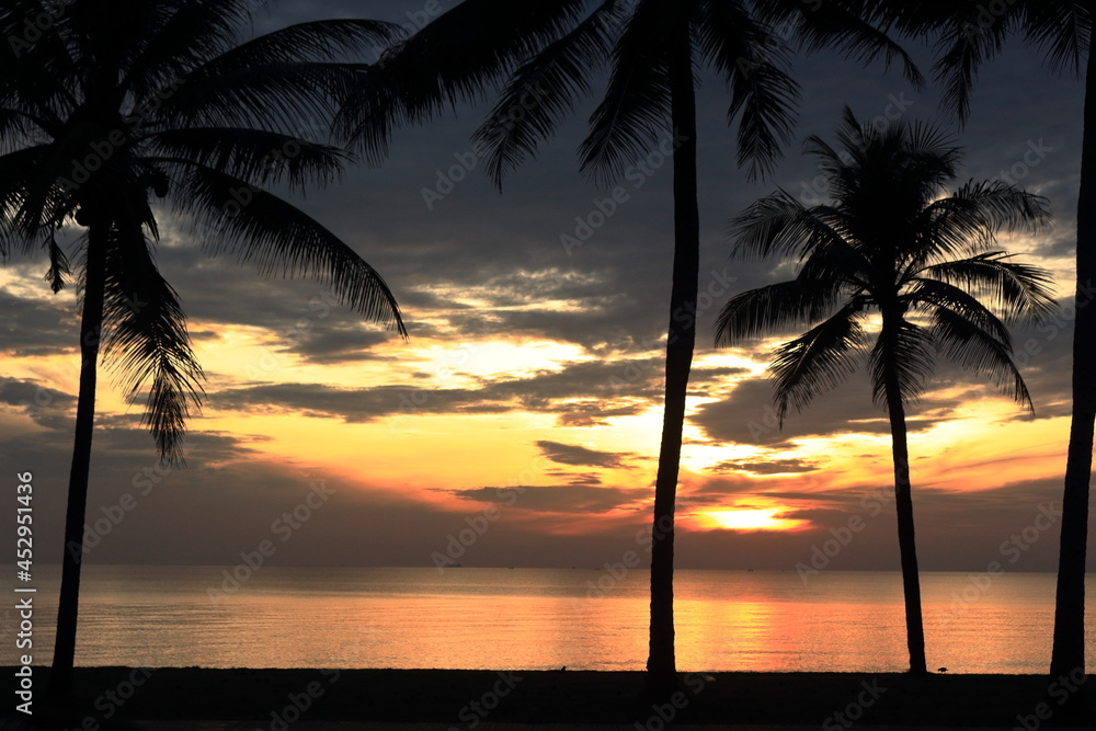 set of pictures sunrise and coconut trees