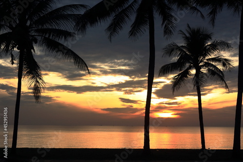 set of pictures sunrise and coconut trees
