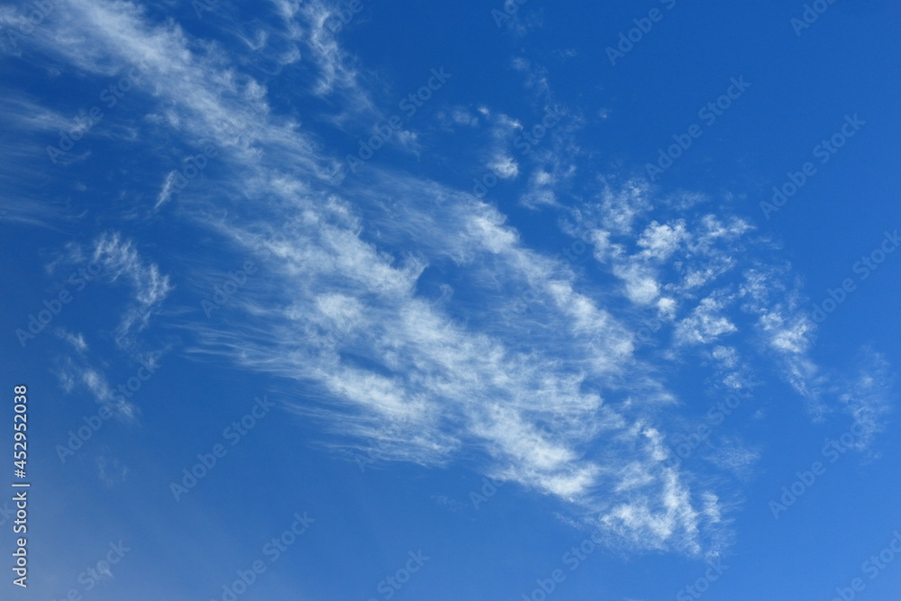 Natural scenery during the day Natural scenery during the day
