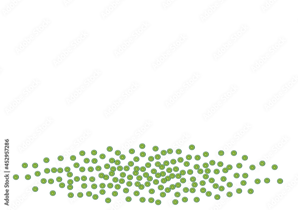 Bright Citrus Background White Vector. Citrus Levitation Decoration. Bright Food Lime. Juicy Drawing Pattern. Bright Citrus Background White Vector. Citrus Levitation Decoration. Bright Food Lime. Juicy Drawing Pattern.