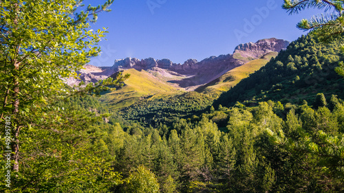 Paisaje de alpino con arboles de primer plano y montañas al fondo con un cielo azul
