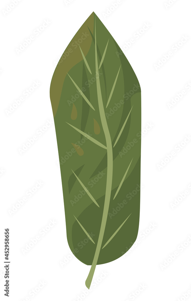 tropical leaf icon tropical leaf icon
