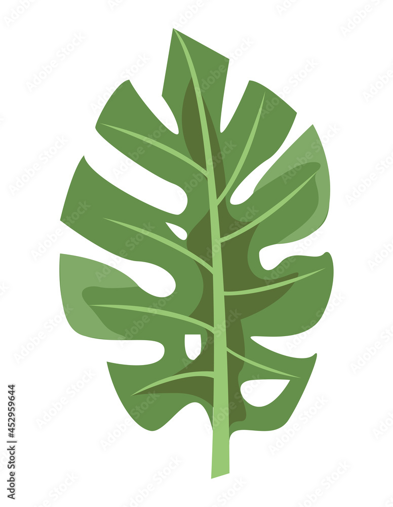 tropical leaf exotic