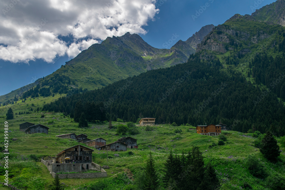 Obraz premium Beautiful landscapes from the uplands of Rize in Black Sea region of Turkey. Rize is the most green city of Turkey. Rize is in the eastern part of the Black Sea Region of Turkey