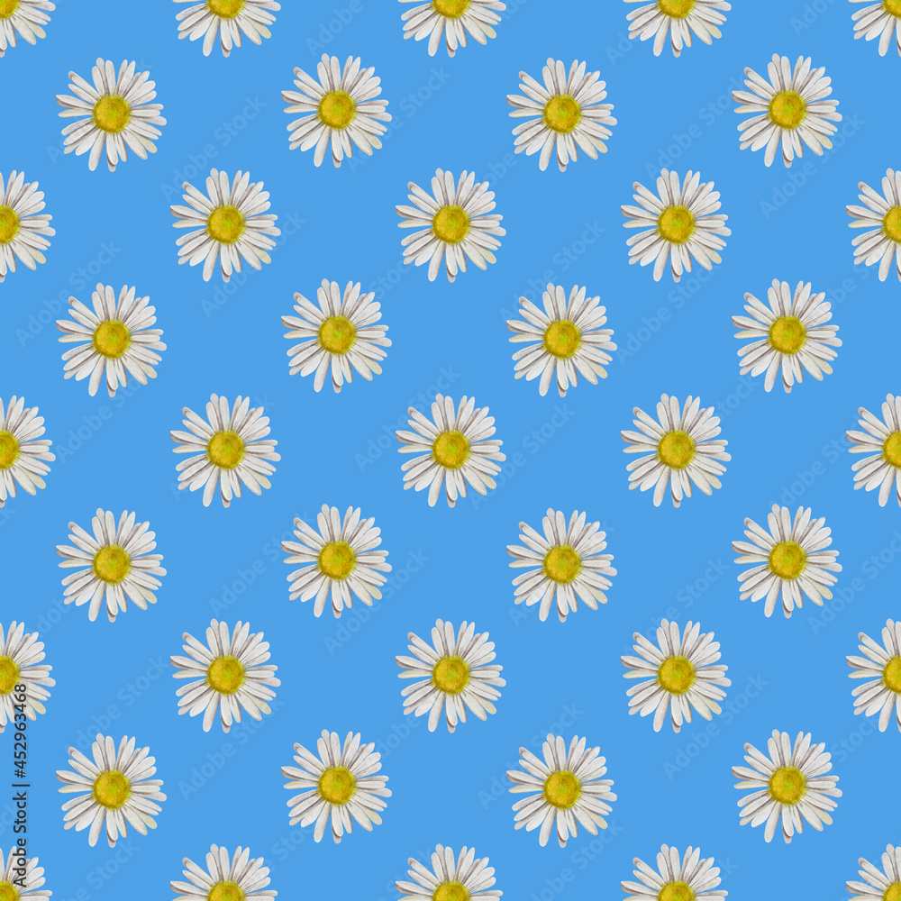 seamless pattern with camomiles