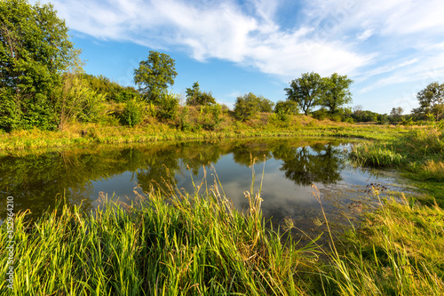 small lake in forest