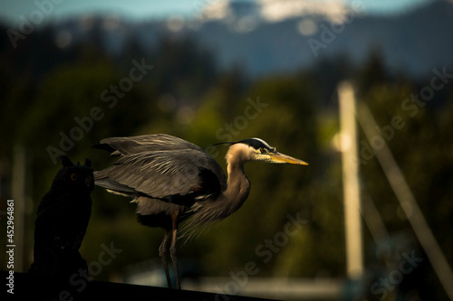 A heron is standing beside the wooden owl