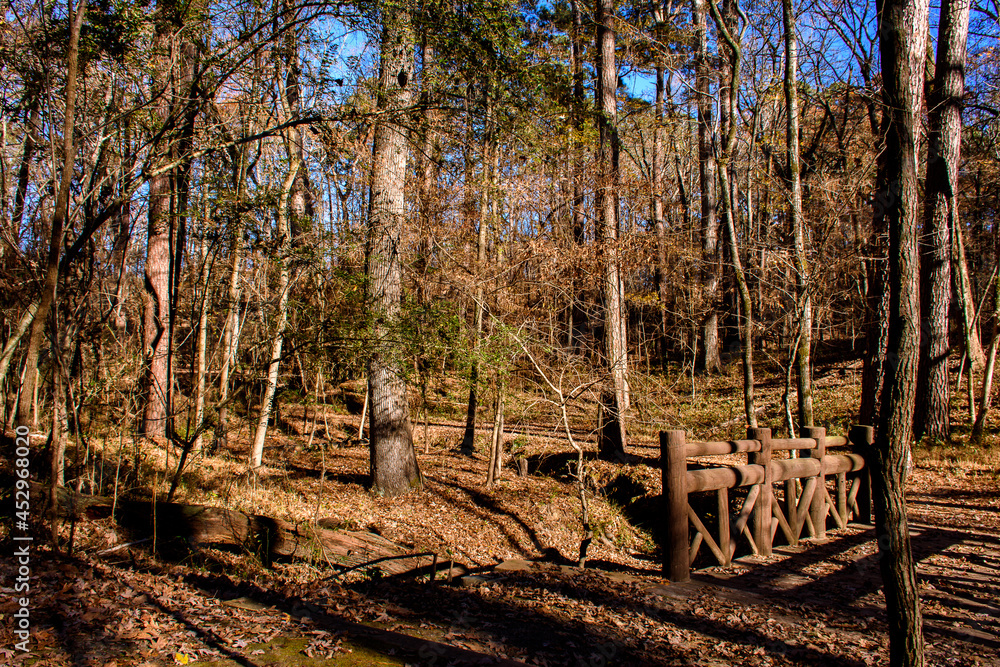 Hiking Path-Caddo Lake State Park-5747 Hiking Path-Caddo Lake State Park-5747