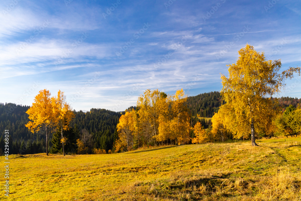 Fototapeta premium autumn landscape near saddle Beskyd in Slovakia