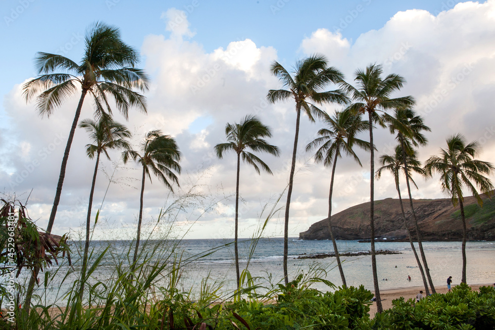 Hanauma Bay, a marine embayment, located along the southeast coast of Oahu Island in Hawaii.