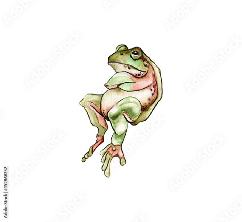 Story of thumbelina, mouse, toad, mole, swallow, water lily, fairies, forest dwellers