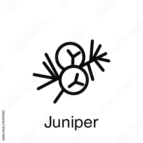 Juniper vector icon. Trending fragrance. Top notes, scent, perfume, aromatic essence, cream, soap, cosmetics. Branch, berry. 