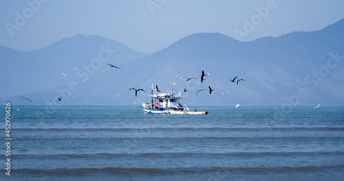Photography Wooden fishing boat on the sea with a bunch of marine birds flying around