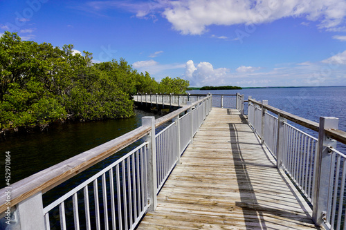 iscayne National Park in southern Florida. Jetty Walk near Dante Fascell Visitor Center at Convoy Point. Over water boardwalk lined with Mangrove Trees looking out onto Biscayne Bay.