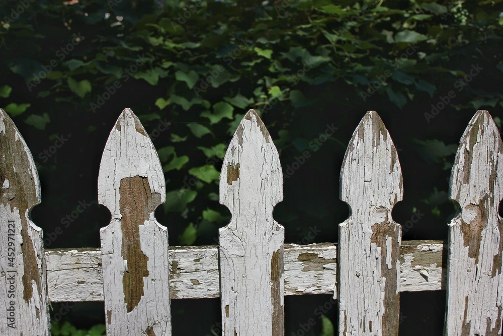 Weathered white picket fence surrounding a green summer garden.