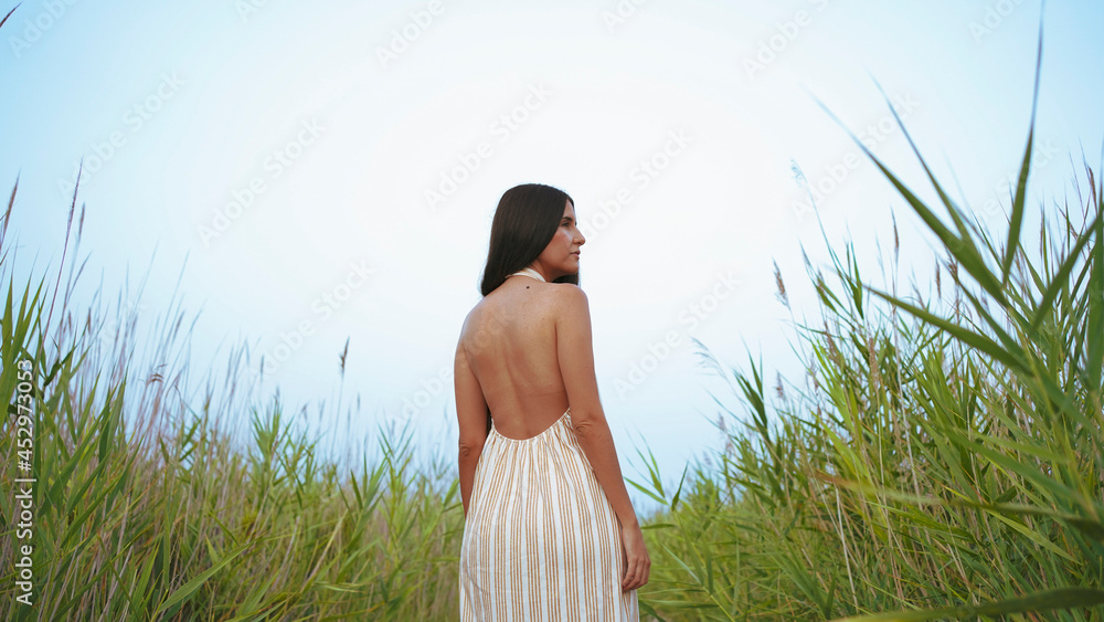 young woman from back in striped dress with straps and halter neckline on a path in the field young woman from back in striped dress with straps and halter neckline on a path in the field