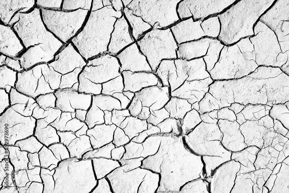 Fototapeta premium Area of Dried Land Suffering from Drought, ground cracks. texture of grungy dry cracking parched earth..