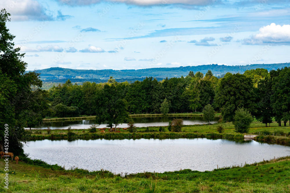 Paysage naturel avec forêt et lac