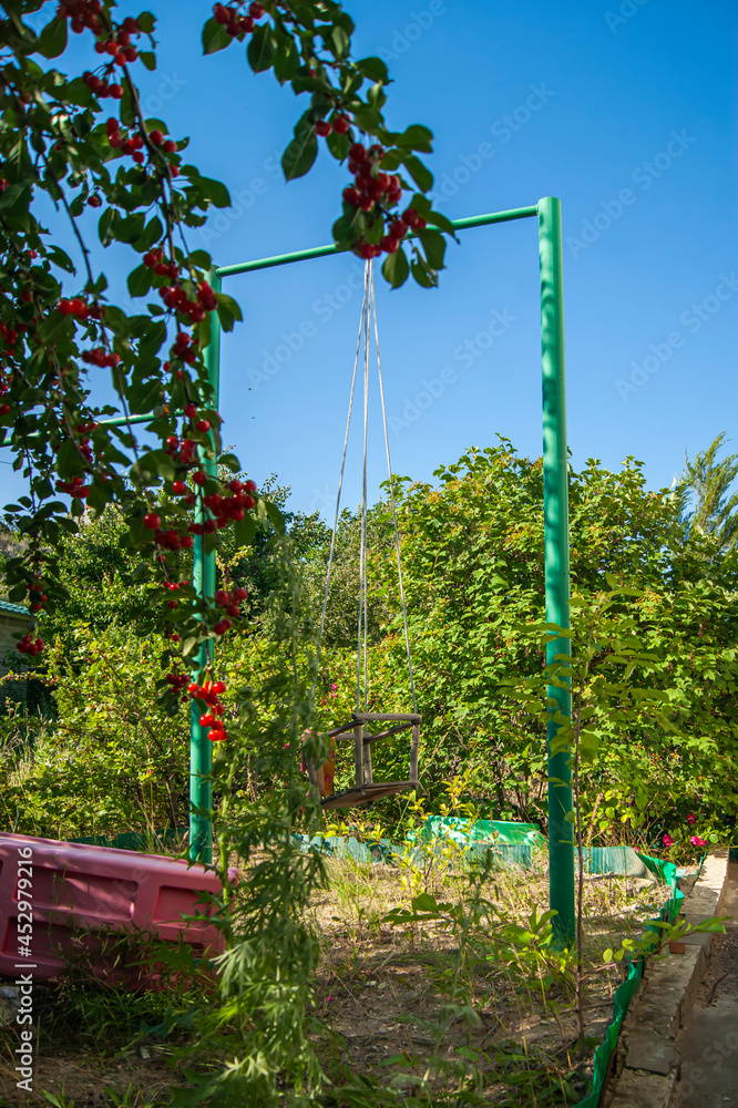 An overgrown and abandoned swing set in the middle of the forest. Lots of grass. Nature takes over. An overgrown and abandoned swing set in the middle of the forest. Lots of grass. Nature takes over.