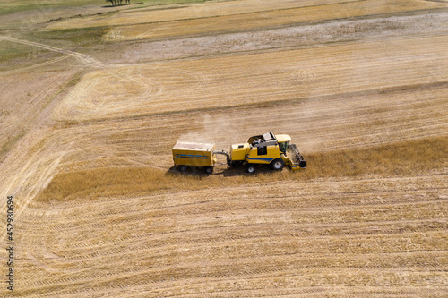 Harvesting of wheat in summer. Mowing of wheat field with combine Harvester.