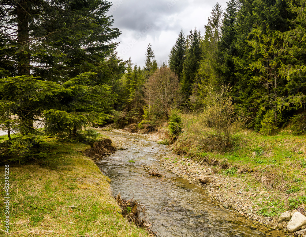 Kamianka river at the Carpathian mountains