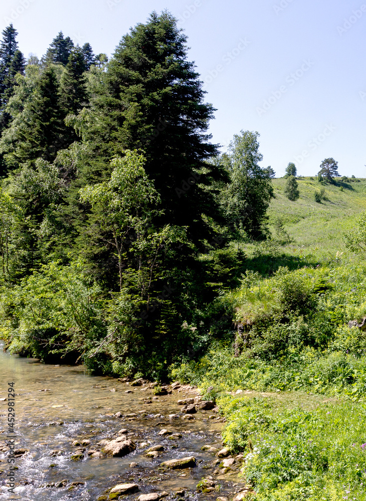 A sunny summer day, the sources of mountain rivers originating in alpine meadows replenish the ecosystem of vital resources with clean water. A sunny summer day, the sources of mountain rivers originating in alpine meadows replenish the ecosystem of vital resources with clean water.