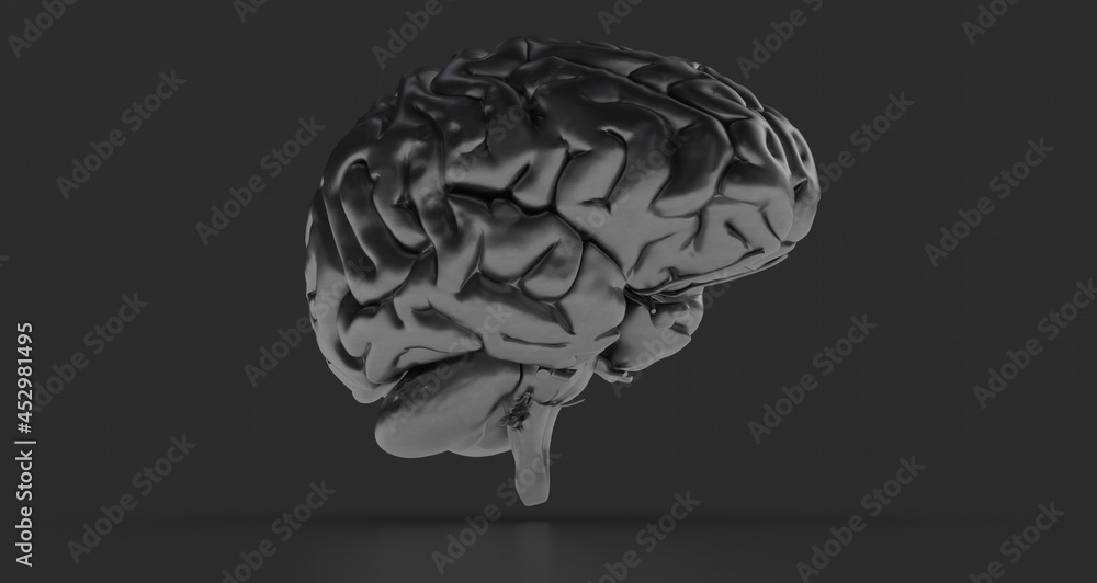 Human brain activity with plexus lines.. External cerebral connections in the frontal lobe. Human brain activity with plexus lines.. External cerebral connections in the frontal lobe.