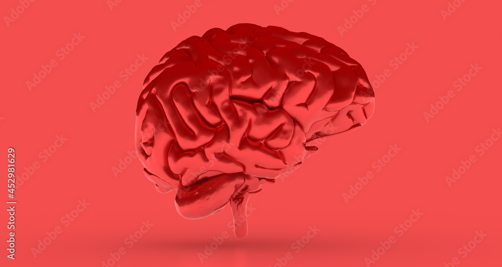 3d rendering of human brain on technology background 3d rendering of human brain on technology background