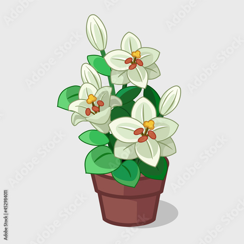Lily flower in a pot. Vector illustration. Can be used as an interior element.
