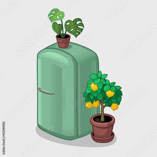 Interior elements: refrigerator and houseplants. Lemon tree, monstera. Vector illustration.