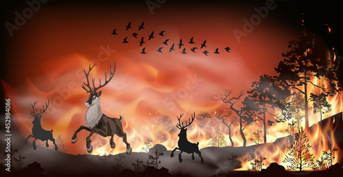 Vector forest fire, pine trees in fire flames. Nature concept illustration background. Wild animals and birds run away