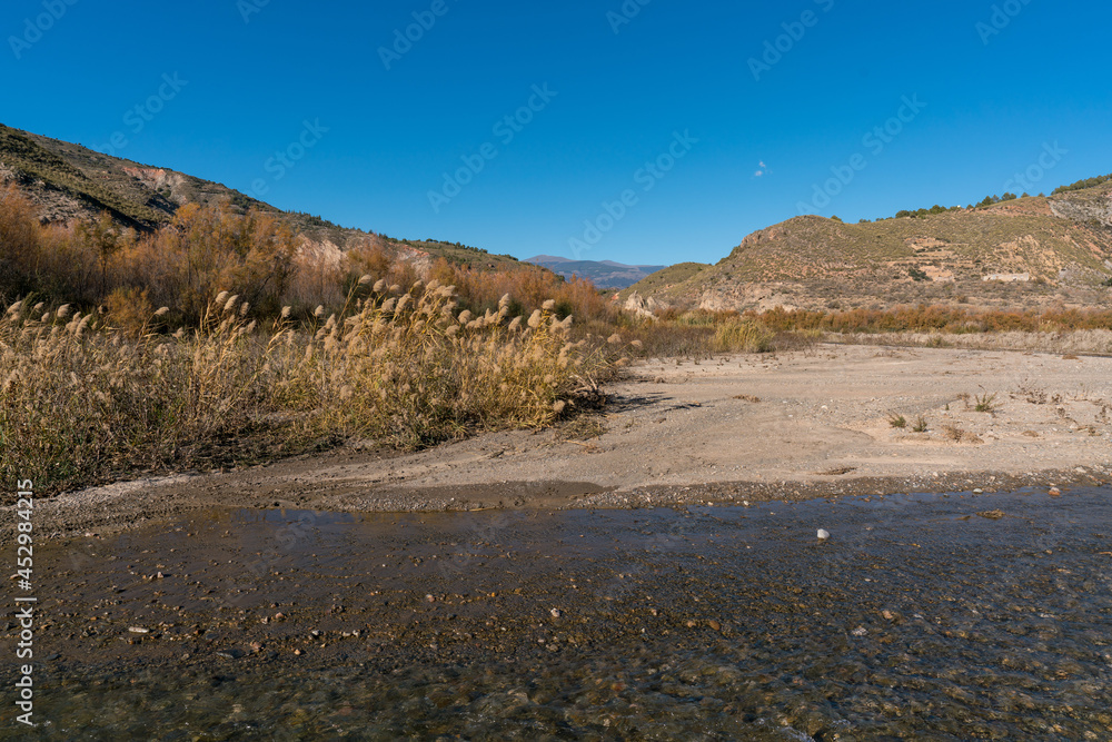 river with water in the south of Spain river with water in the south of Spain