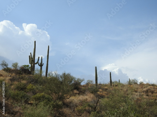 The beautiful scenery of the Sonoran Desert landscape along Interstate highway 17 in Yavapai County, Arizona.